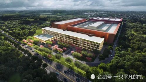 驅(qū)動芯片再獲突破,華為正全力填補(bǔ)芯片空白,多家企業(yè)已妥協(xié)供貨