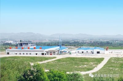 豪洋新型建材科技開發(fā)榮獲山西省五一勞動(dòng)獎(jiǎng)